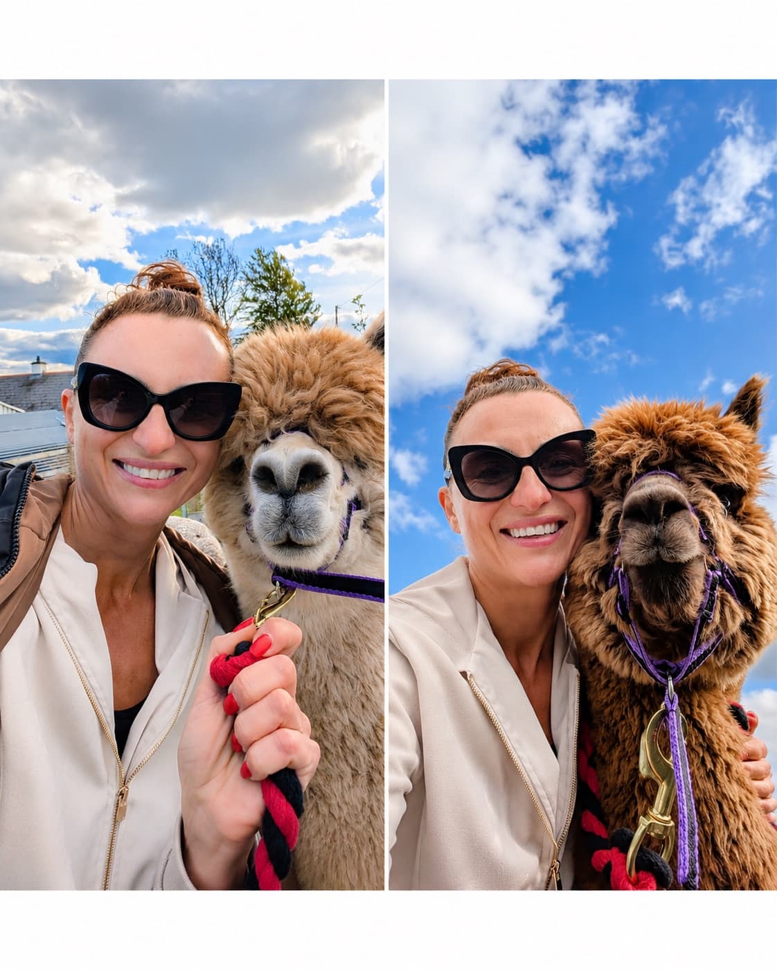 Visitor selfies posing close-up with Bert and Ernie under a bright Irish sky.